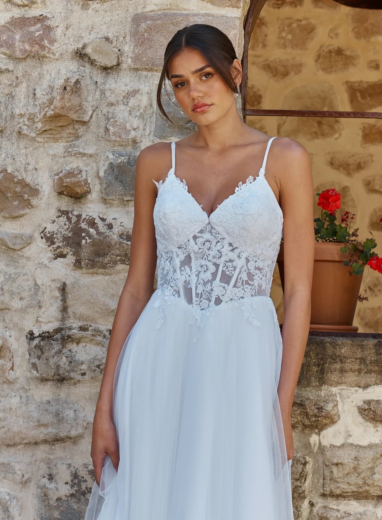 DAISIE BY TANIA OLSEN