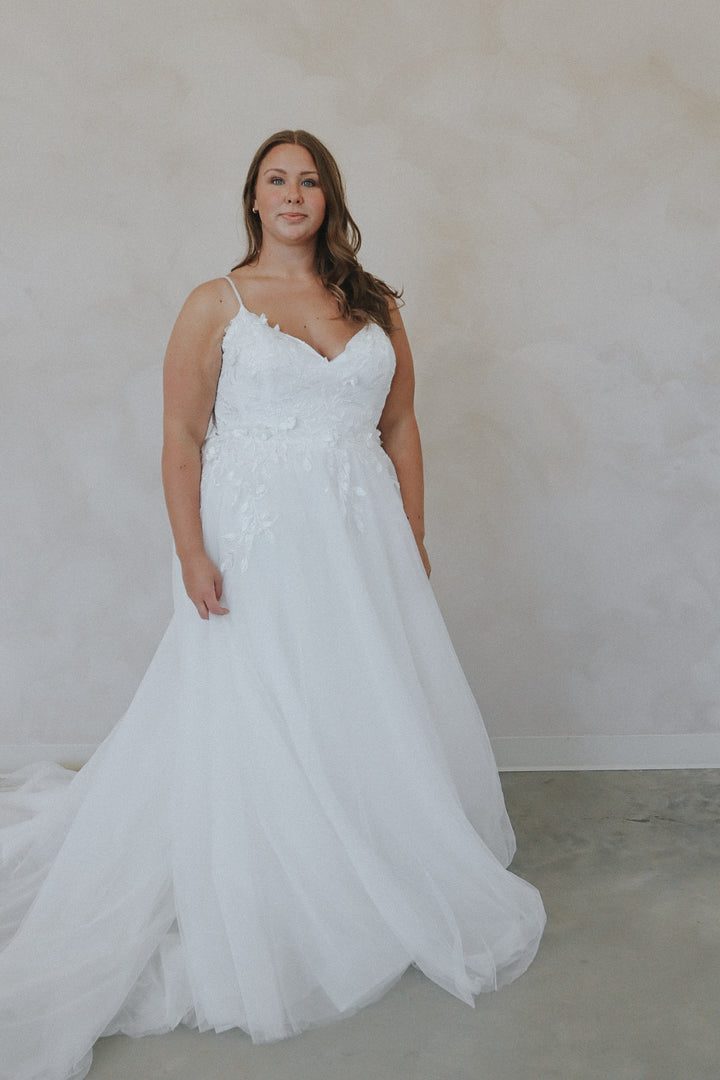 Size 22 | Magnolia by Lovely