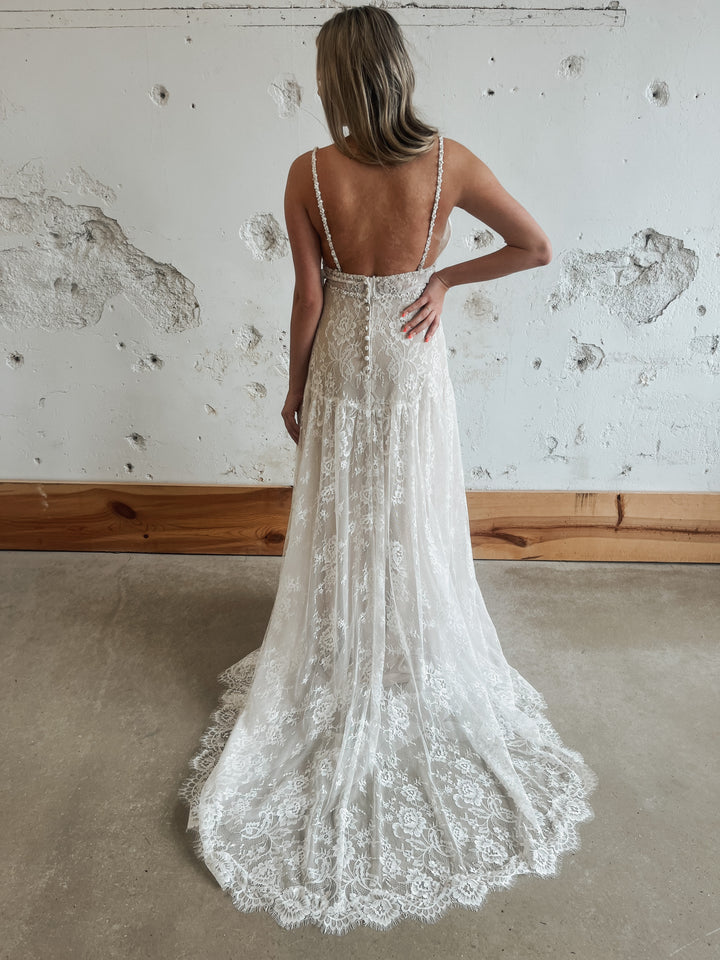 Tag Size 10 | Wilderly